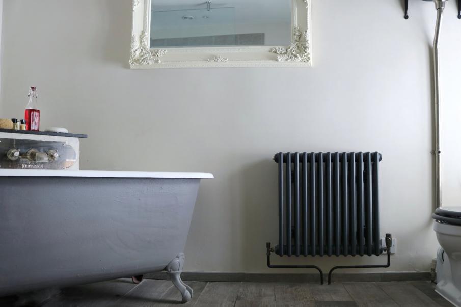 Bath, radiator, mirror and toilet